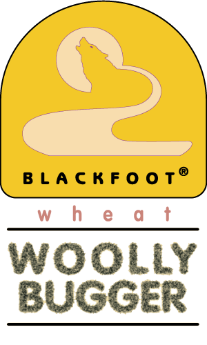 Wooly-Bugger